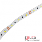 Pásek LED 60x2835SMD, 12V, 8W/m, CW (studená bílá)