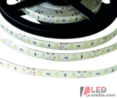 Pásek LED 60x3528SMD, 12V, 4,8W/m, voděodolný, IP50, CW (studená bílá)